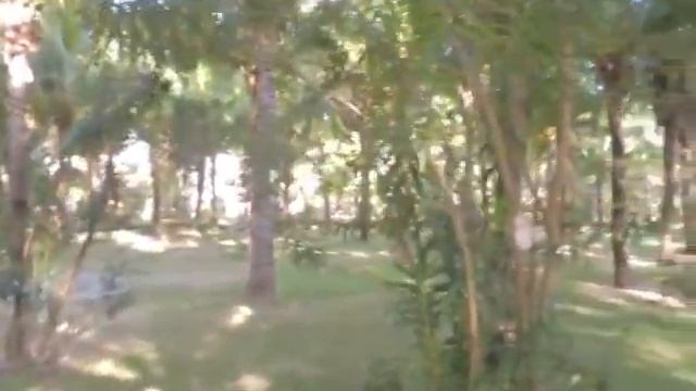 Вьетнам Фантхиет отзывы MAGIK GARDEN Вьетнам Фантхиет отзывы смотреть онлайн
