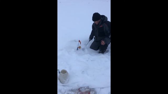 Рыбалка на Северной Сосьве в январе 2020г. смотреть онлайн