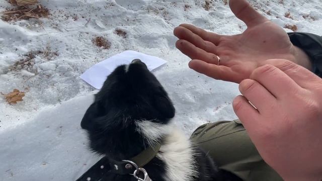 Жизнь на Планете Земля