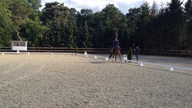 Bernard смотреть онлайн