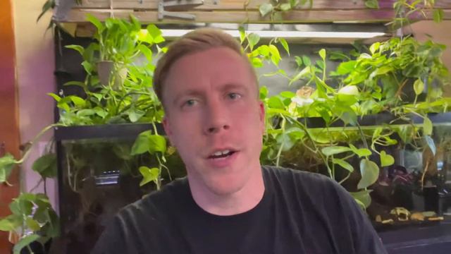 Rubber Plant is Not Growing? Tips to Grow Faster смотреть онлайн