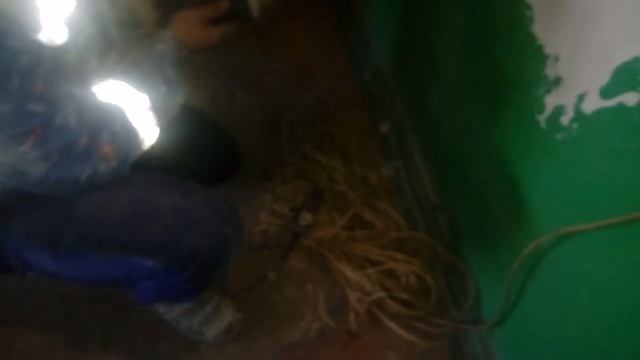 Как быстро и на халяву подключиться к электроэнергии.??? смотреть онлайн