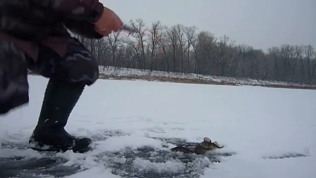 Мелочь полосатая смотреть онлайн