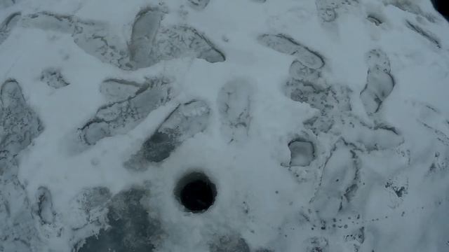 КАК ЛОВИТЬ СУДАКА ЗИМОЙ СО ЛЬДА. Рыбалка на судака зимой. смотреть онлайн