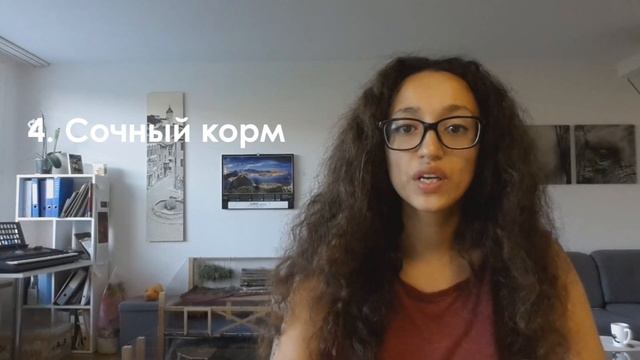 ♥ Рацион морской свинки ♥: вода, сено, трава, сочный корм смотреть онлайн