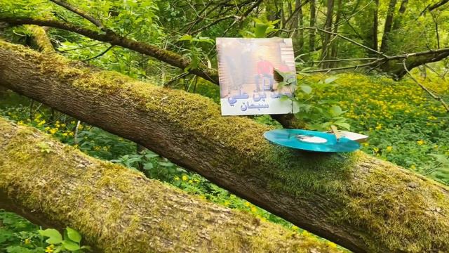 Habibi Funk // حبيبي فنك : Ahmed Ben Ali - Aziz W Adda (Libyan Reggae, 2006 / pre-order link below) смотреть онлайн