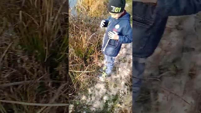 Потрошим рогоз) смотреть онлайн