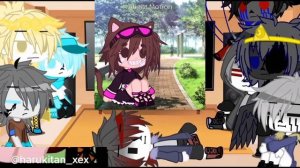 реакция сансов на т/и (8/??)