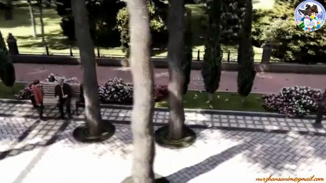 Тарих және география ӘБ-нің апталығы! смотреть онлайн