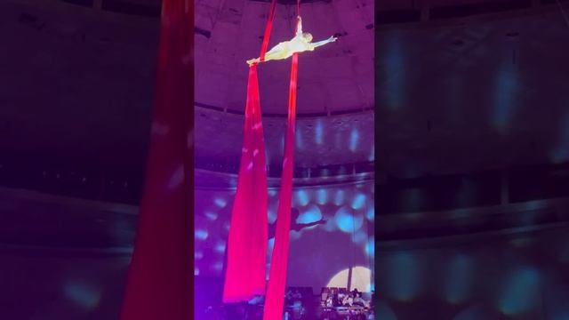 Воронежский цирк «Империя львиц» смотреть онлайн