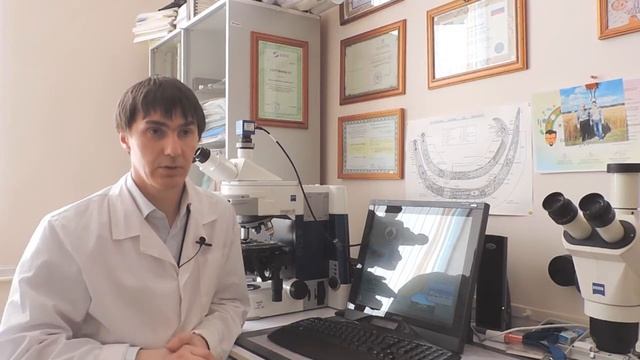 Технология возделывания картофеля. 6 серия (Нематоды) смотреть онлайн