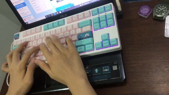 Akko CS Blue (w/ XDA Lotus Keycap) смотреть онлайн