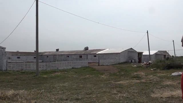 Эдильбаевская порода овец - Племенное хозяйство Эдильбай смотреть онлайн