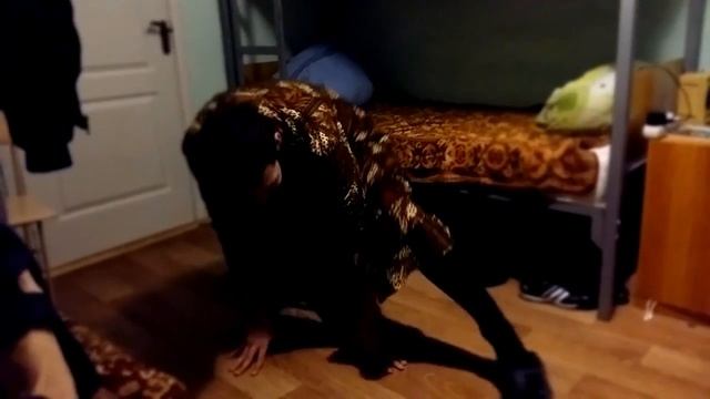 Мастерами кунг-фу не рождаются ими становятся ! смотреть онлайн