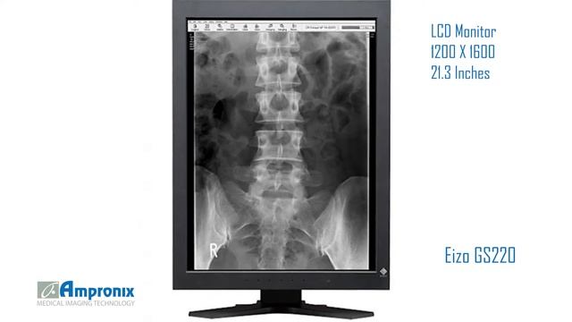 EIZO RadiForce GS220 Display Monitor Screen Sales | Service | Repair | Exchange | Replacement смотреть онлайн