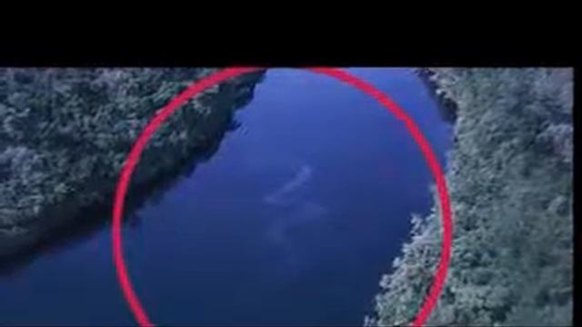 Big snake большая змея смотреть онлайн