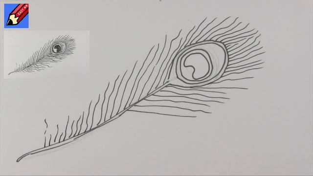 Draw a Peacock Feather Easy - Step by Step смотреть онлайн