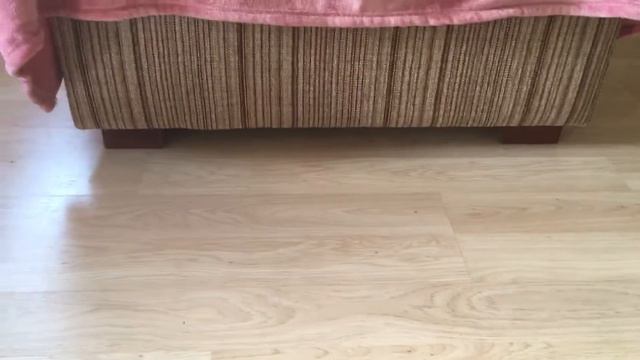 Щенки чихуахуа , веселая чехарда вокруг кресла смотреть онлайн