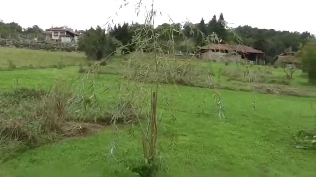 Creating A Natural Reserve (Autumn 2021)