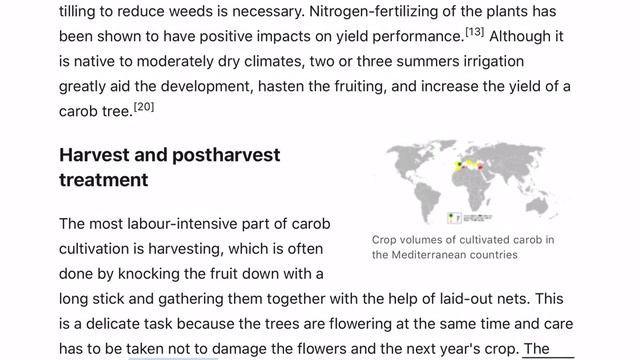 Ceratonia siliqua / Carob tree - Wikipedia смотреть онлайн