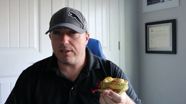 Welcome to Our NEW Channel... Staring Ms. Slithers (Biak Green Tree Python)... смотреть онлайн