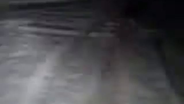 Niels in de sneeuw смотреть онлайн