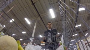 #17. Дешевые магазины в США. Обычная поездка за продуктами в супермаркет в Америке.