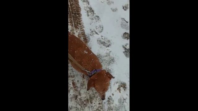 Доброе видео об отправке в конце февраля смотреть онлайн