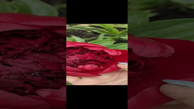 video_20220622_140138.mp4