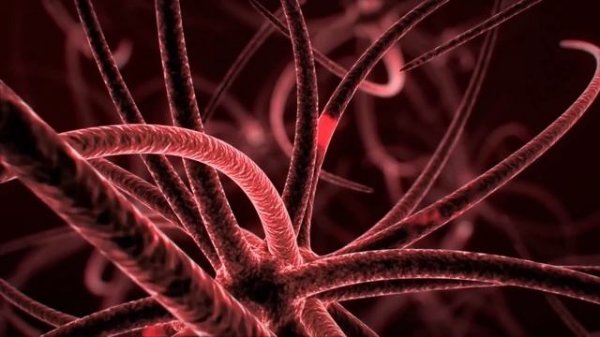 Increase Brain Power, Enhance Intelligence, IQ to improve, Binaural and Isochronic Beats