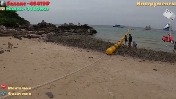 НОВОЕ РЕАЛИТИ ШОУ «Kamikadze Travel» ЖИЗНЬ В ПРЯМОМ ЭФИРЕ, СОБЫТИЯ ПРОИСХОДЯТ В ТАИЛАНДЕ - ПАТТАЙЯ