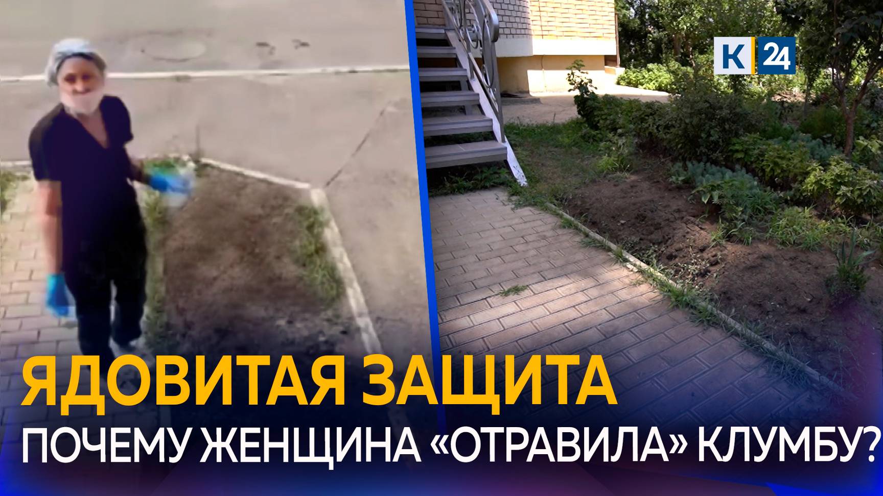 Жительница Краснодара угрожала отравить собак, чтобы защитить клумбы смотреть онлайн
