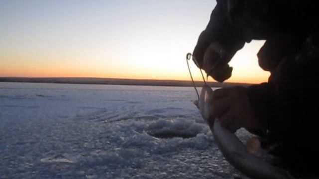 ПЕРВЫЙ ЛЕД 2020-2021!!! ЩУКИ РВУТ ЛЕСКИ!!! УТРЕННИЙ ЖОР ЩУКИ НА ЖЕРЛИЦЫ! смотреть онлайн