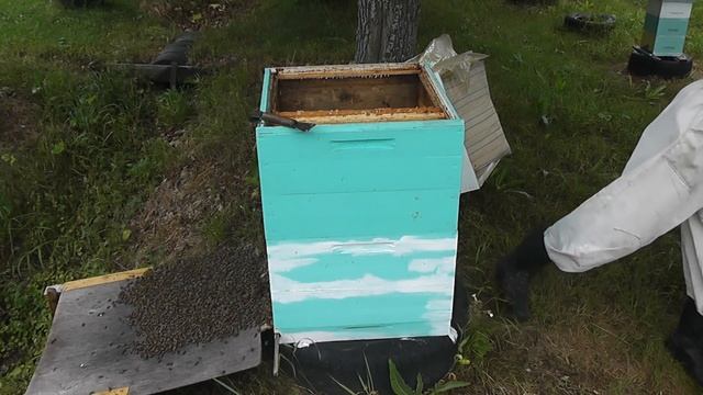 Время необходимое для осмотра одной семьи смотреть онлайн