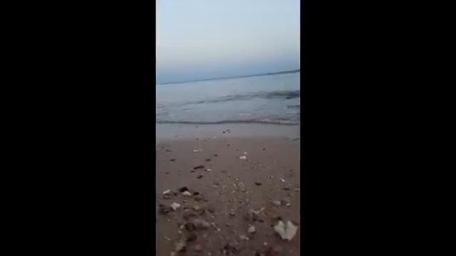 Fort Arabesque Resort, Makadi 09.2021 смотреть онлайн