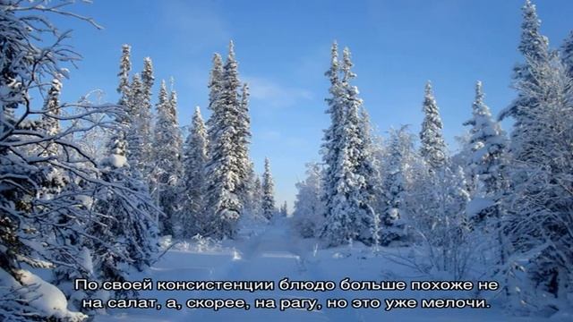 Салат из баклажанов на зиму: 36 домашних рецептов смотреть онлайн