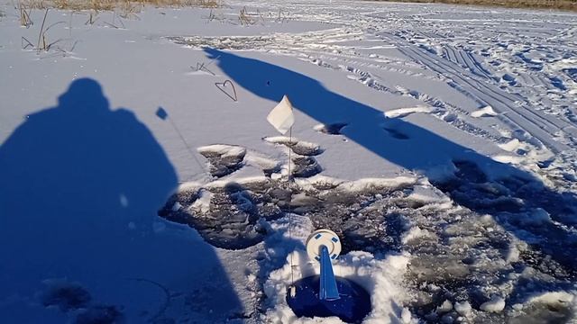 Первый лёд, открытие сезона 2022-23, куча сработок, у кого как, а у нас вот так. смотреть онлайн