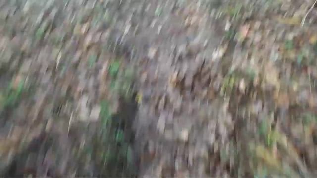 [РВ] Осенний сплав по реке Меза (часть 3) смотреть онлайн