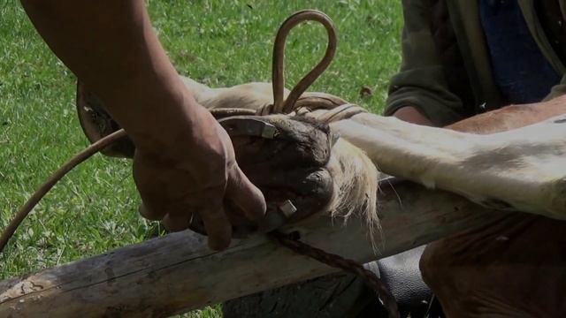 ДИКАЯ ТЫВИНСКАЯ ТАЙГА И ЕЕ ОБИТАТЕЛИ. КАК ПОДКОВАТЬ ЛОШАДЬ В ТАЙГЕ. ТАЕЖНЫЕ СТОЯНКИ В БАЙТАЙГЕ. смотреть онлайн