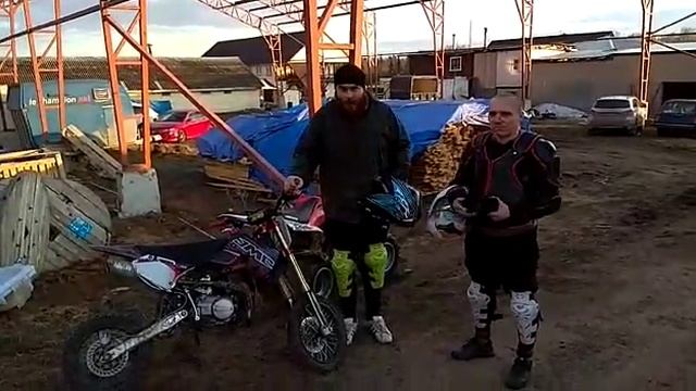 пара питов на прокат - отзывы смотреть онлайн