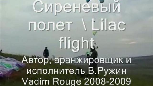 Полет в сиреневых тонах. Flight In Lilac Tones