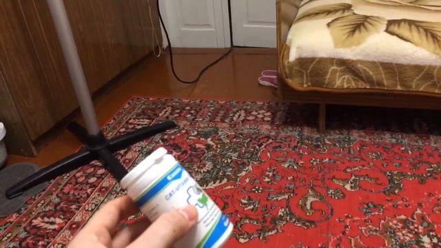 КАК ЛЕГКО НАЙТИ СВОЕГО КОТА В ДОМЕ. смотреть онлайн