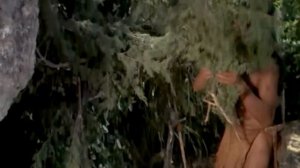 Пегий жеребёнок / Фильмы о лошадях