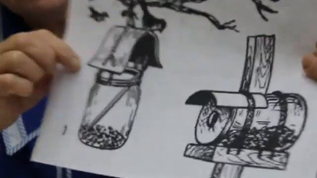 Какие кормушки можно смастерить для птиц? смотреть онлайн