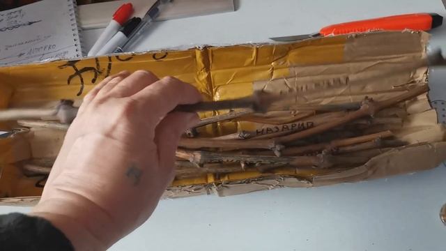 Черенки винограда- купил для прививки. смотреть онлайн