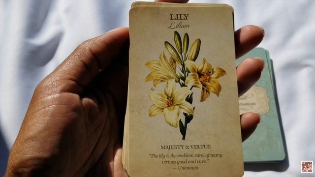 BOTANICAL INSPIRATIONS UNBOXING | TAROT/ORACLE DECK UNBOXING смотреть онлайн