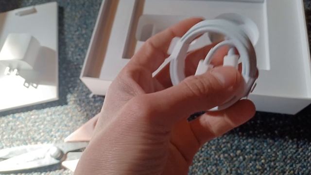 IPad 9th Gen + Speck Case Quick Unboxing