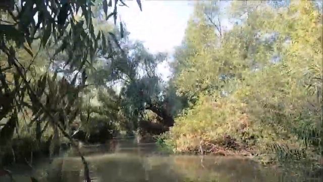 Сплав на сапах. Турунчук-Днестр 2 смотреть онлайн