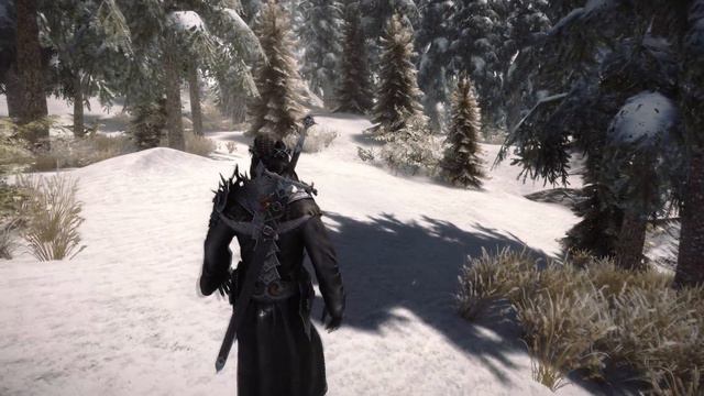 SkyrimSE: Natural View Tamriel (NVT) ENB - COT Preset смотреть онлайн