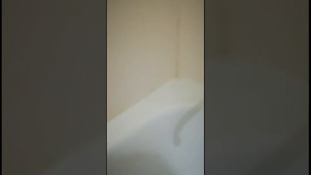 Отмыла известковый налет с кафеля в ванной комнате! Результат отличный смотреть онлайн